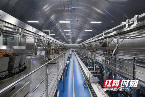 清華大學學子走進勁仔食品，共探“科研興企”新路徑