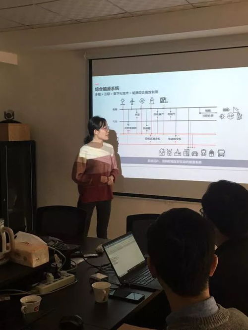 深化技術(shù)交流，賦能綠色未來 記公司綜合能源技術(shù)知識交流培訓(xùn)會